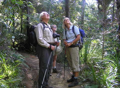 new zealand coromandel kiwi dundee guided tour