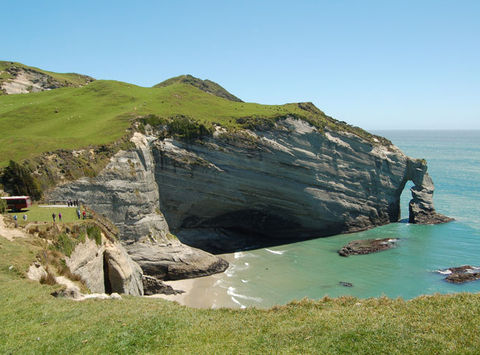 new zealand farewell spit eco tour beach