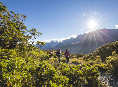 new zealand southern lakes hiking the routeburn track tnz