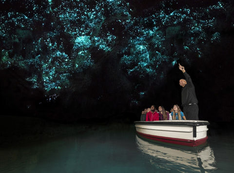 new zealand waitomo glow worm cave excursion