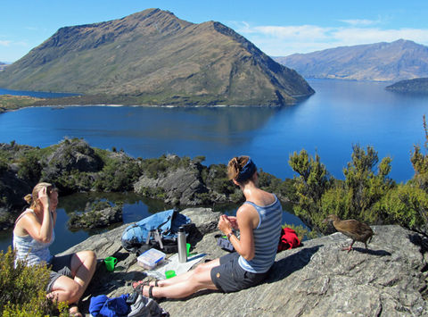 new zealand wanaka lake cruise and walk