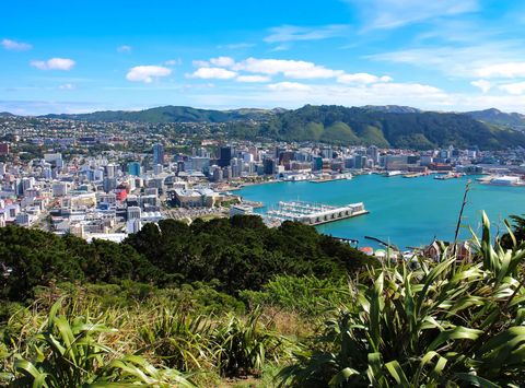 new zealand wellington from mt victoria istk