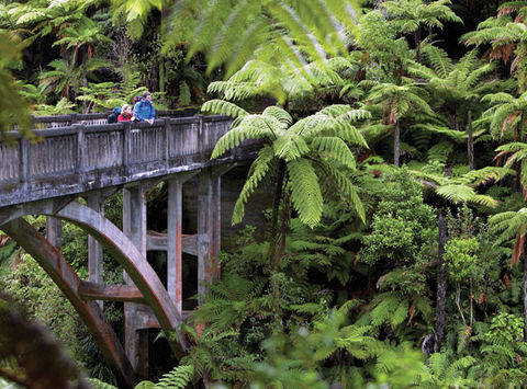 new zealand whanganui river bridge to nowhere vr