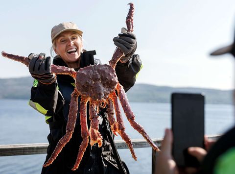 northern norway king crab safari havila