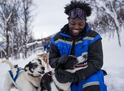 norway tromso meeting the huskies trmsaf