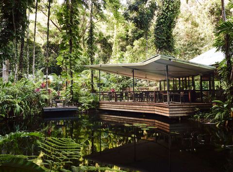 queensland daintree ecolodge restaurant reflection ss