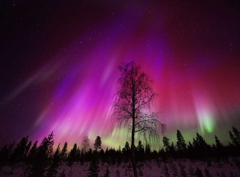 red aurora borealis seen over lapland istk