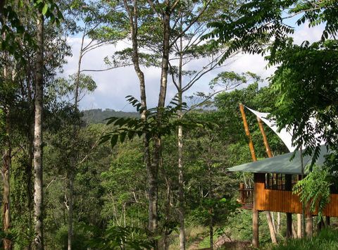 rose gums wilderness retreat2