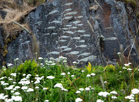 south greenland qaqortoq rock carving vg