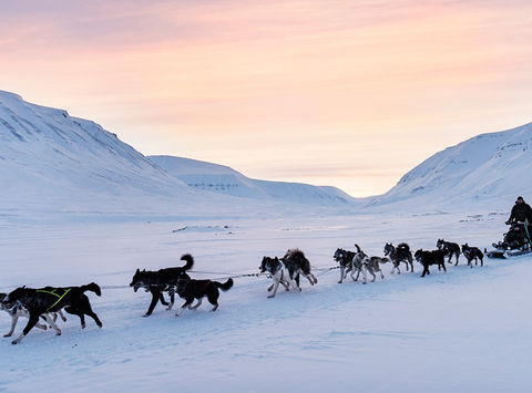 svalbard husky sledding bolterdalen htgrtn