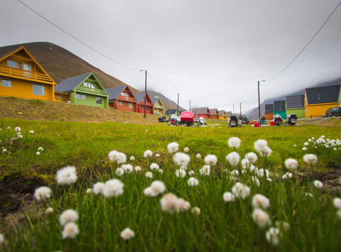 svalbard longyearbyen coloured houses summer istock