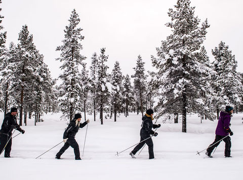 sweden icehotel cross country skiing
