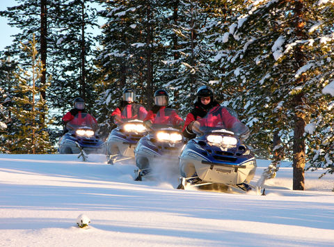 sweden lapland snowmobiles through forest lmb