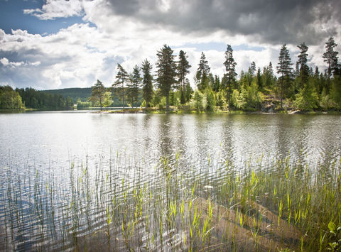 sweden varmland lakeview summer vs