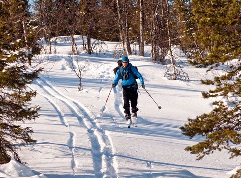 swedish lapland arctic retreat cross country skiing