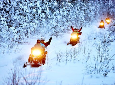 swedish lapland lulea snowmobile forest tour bl