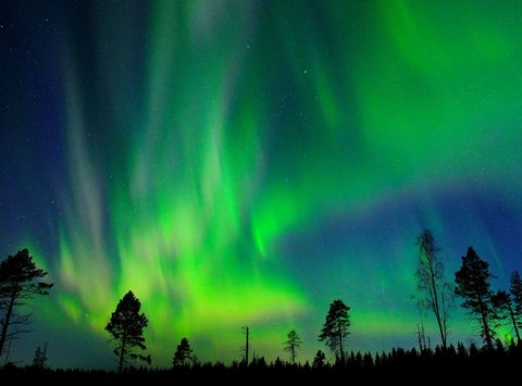 swedish lapland northern lights near brandon lodge