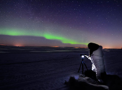 swedish lapland northern lights sled tour