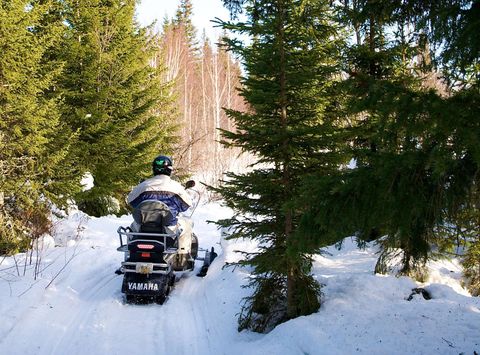 swedish lapland snowmobile safari lulea gr