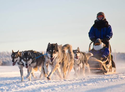 finland-husky-sledding-whs