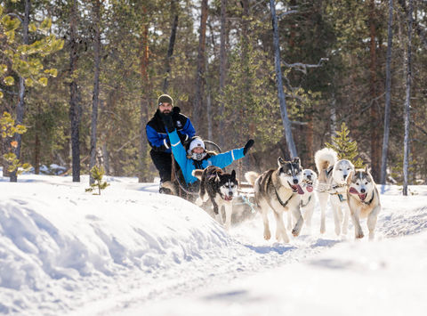 finland-wilderness-husky-sledding