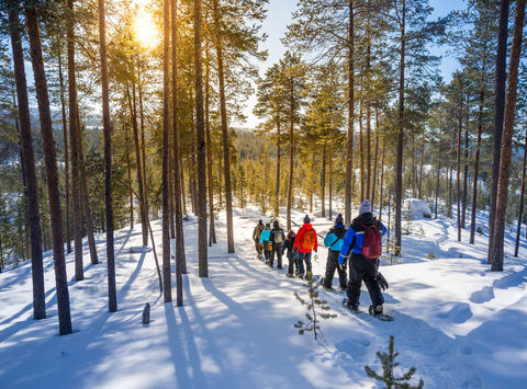 finnish-lapland-group-snowshoeing-whs