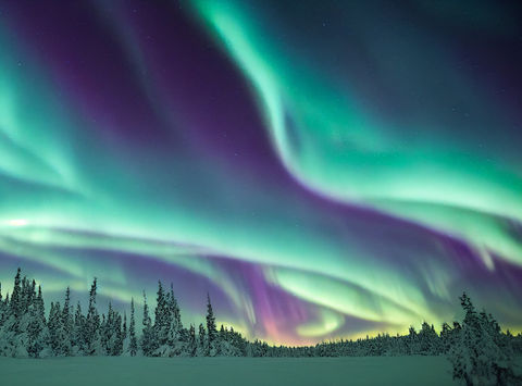 aurora-over-winter-forest-astk