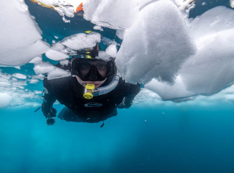 polar-snorkelling-experience-ae