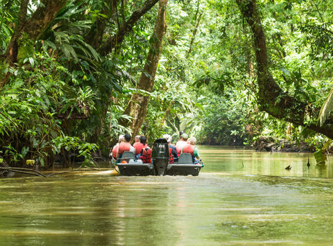 costa-rica-wildlife-cruise-through-tortuguero-national-park-astk