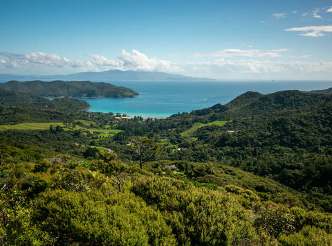 new-zealand-great-barrier-island-astk