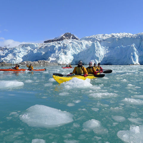arctic spitsbergen kayaking excursion ae