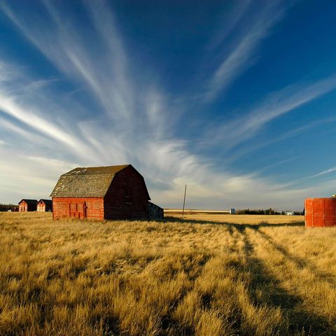 canada saskatchewan wheatfield old barn istk
