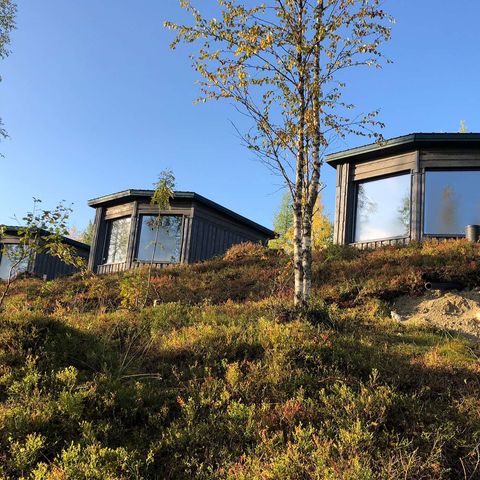 finland luxury bear watching cabins exterior as