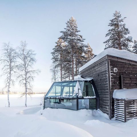 finland ranua arctic fox glass igloo