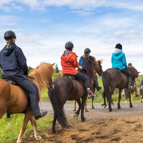 iceland group of horse riders astk
