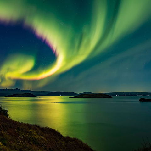The aurora dances over Thingvellir in south west Iceland in autumn