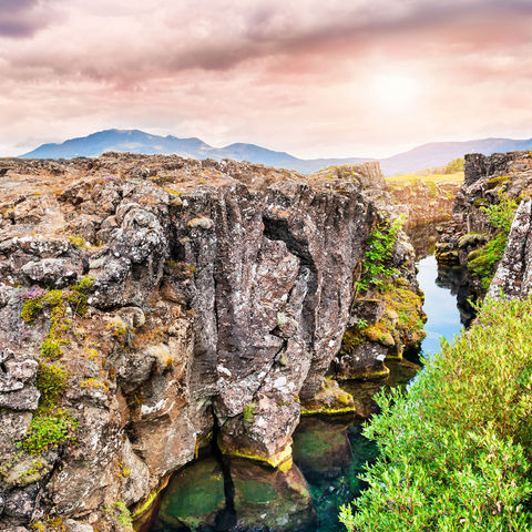 iceland south west thingvellir national park summer istock