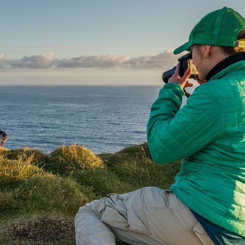 iceland photographing puffins rth