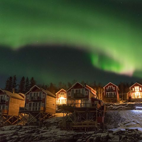 malangen resort cabins and northern lights gt