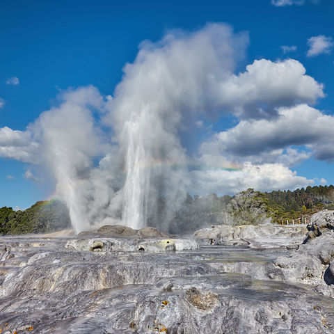 Pohutu Geyser