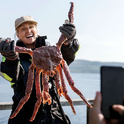 northern norway king crab safari havila