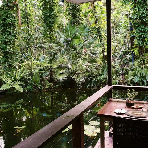 queensland daintree ecolodge restaurant ss