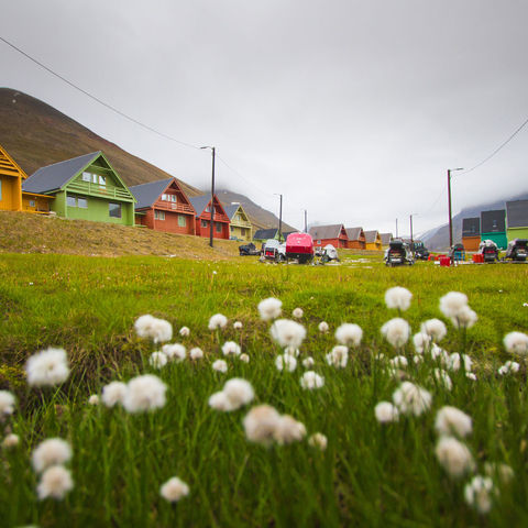 svalbard longyearbyen coloured houses summer istock