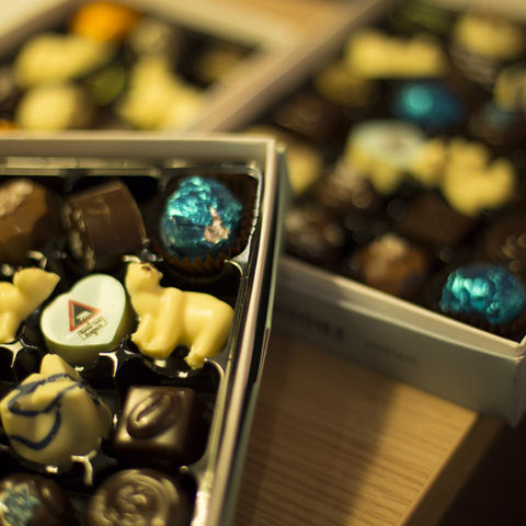 svalbard winter longyearbyen chocolatier william gray