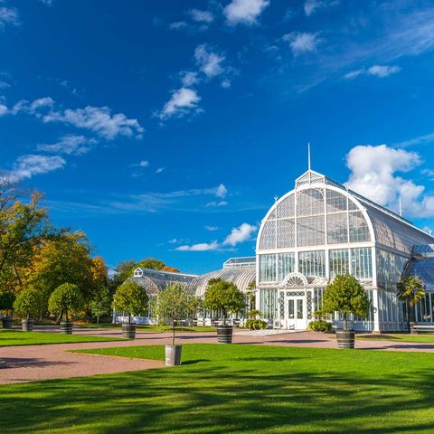 sweden gothenburg greenhouse at tradgardsforeningen istk