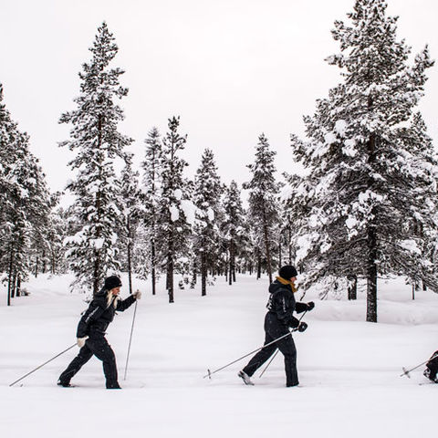 sweden icehotel cross country skiing