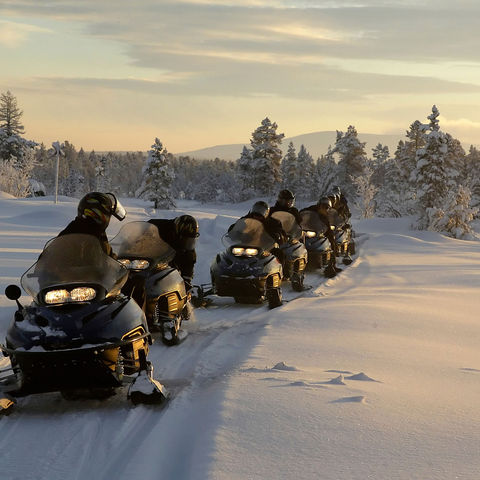 sweden lapland snowmobile safari istk