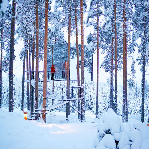 sweden lapland treehotel mirror cube gr