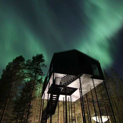 treehotel 7th room and aurora borealis