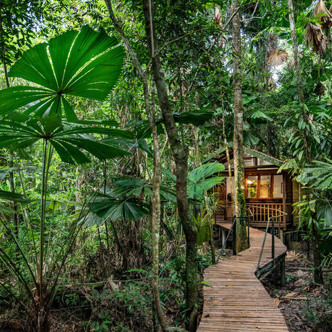 daintree-eco-lodge-cabin-exterior